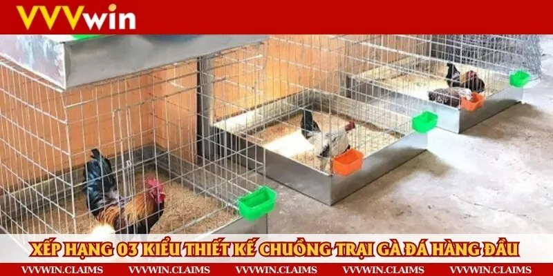 3 dạng thiết kế về trại gà đá